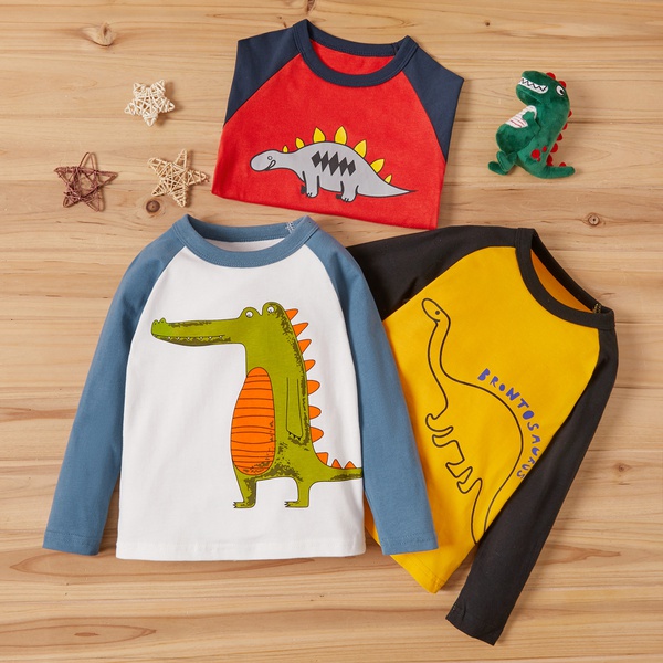 Baby Boy Dinosaur Tee