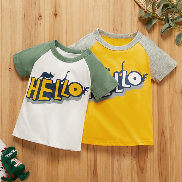 Baby Boy Dinosaur Tee