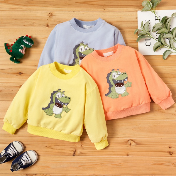 Baby Unisex Dinosaur Pullovers