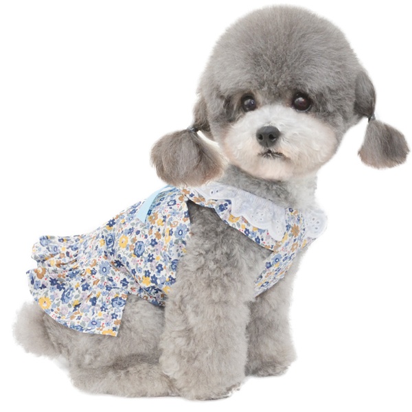 Pet Cute Floral Dress