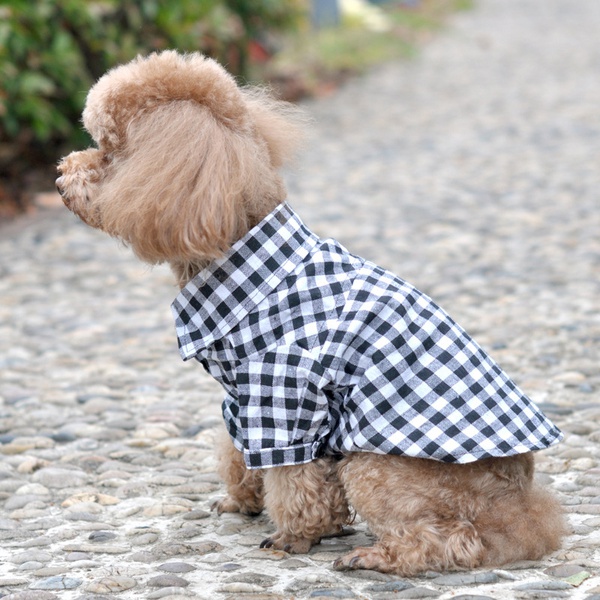 Pet Color-block Plaid Shirt