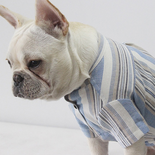 Pet Cotton Shirt