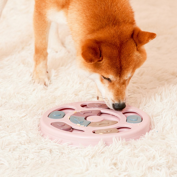 Pet Puzzle Toy Artifact-Relieving Artifact Interactive Puzzle Slow Food Bowl