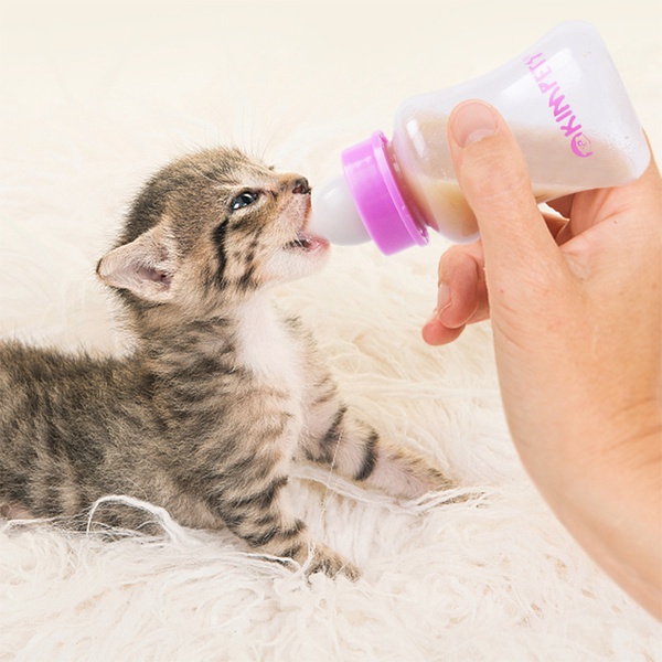 Feeding Device For Puppies And Puppies